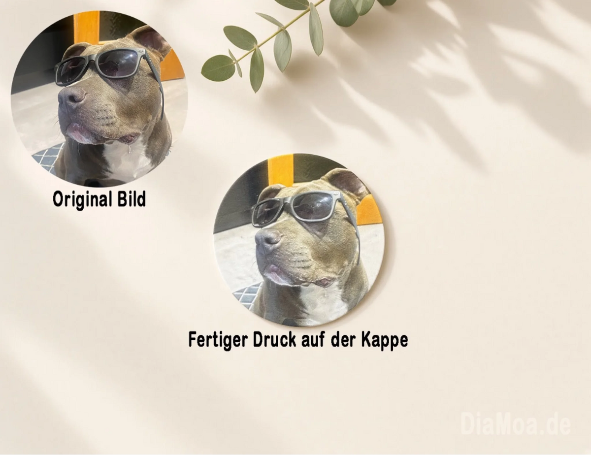 Bild vorlage 1