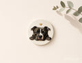 American Bully