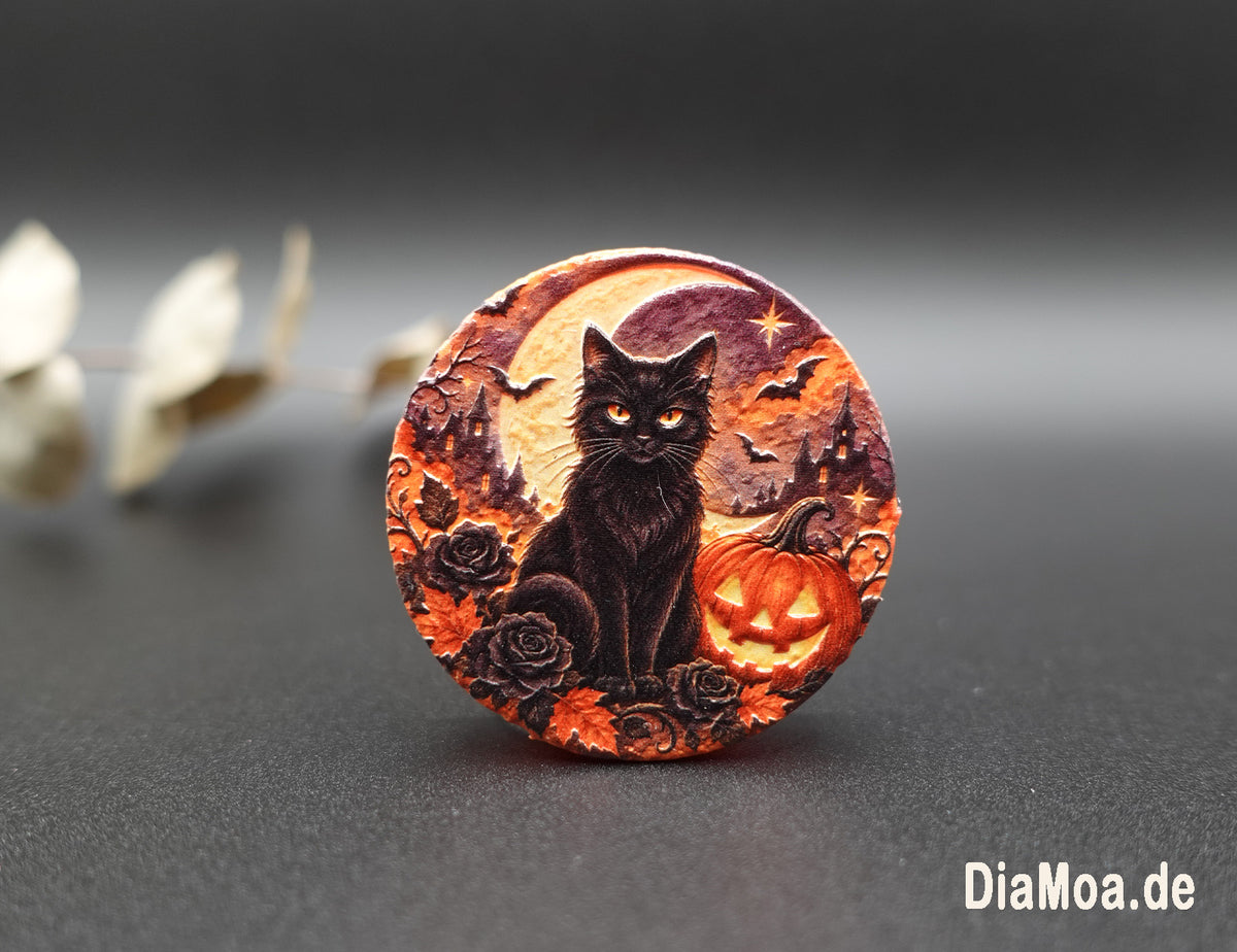 Black Cat Halloween
