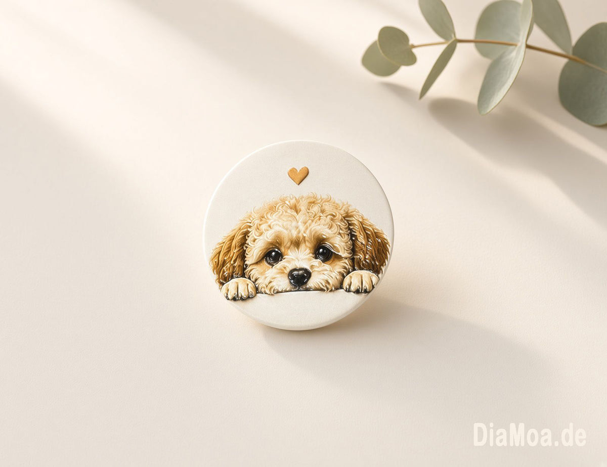 Maltipoo