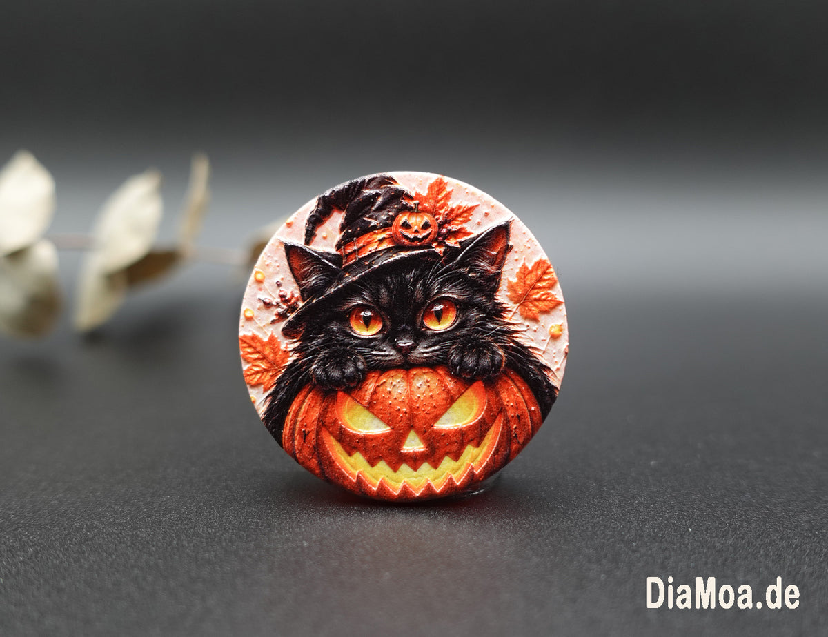 Pumpkin Cat
